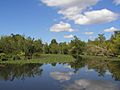 UWArboretumwetlands