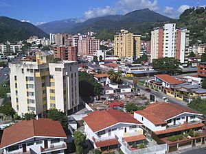 Valera vista de las acacias