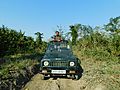 Visitor at Kaziranga National Park