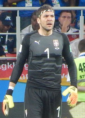 Vladimir Stojković FWC 2018 - Group E - SRB v BRA - Photo 061 (cropped).jpg