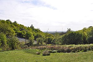 Waseley Hills Country Park 2