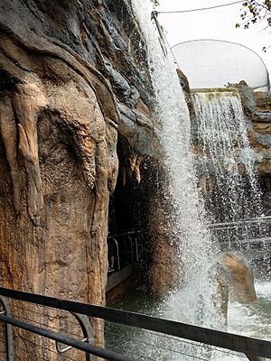 Waterfall at San Diego Zoo