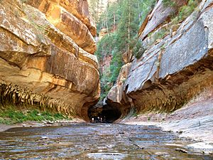 Zion Subway Hike (8014446382)