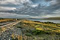 A picture of Rybachy Peninsula on a partly cloudy July day. The Soviet Union demanded that Finland cede the peninsula, its northernmost point at the time, along with other areas. The sun is either rising or setting and shines on the long grass at an angle. A body of water, the Barents Sea, fills a quarter of the picture. A gravel road leads to a lone house in the distance.