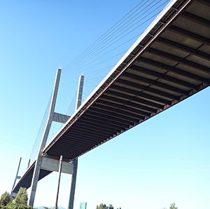 Alex Fraser Bridge from below