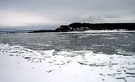 Amur River