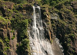 Bambarakanda Waterfalls