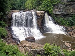 Blackwater Falls