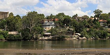 Bonnefin rd, hunters hill2.jpg