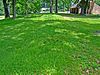 Burrows Park Effigy Mound and Campsite