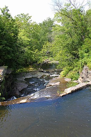 Buttermilk Creek looking downstream