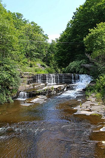 Buttermilk Creek looking upstream.jpg