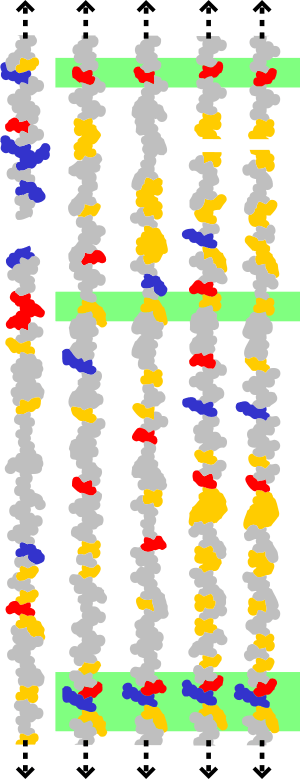 Conserved residues