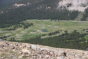 Dana Meadows from Mount Dana