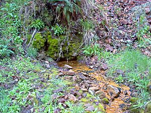 Dead Indian Soda Springs