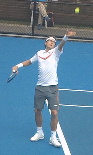 Denis Istomin in 2013