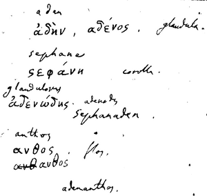 Derivation of Adenanthos