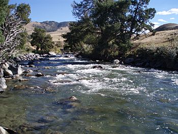 GardnerRiver2006.jpg