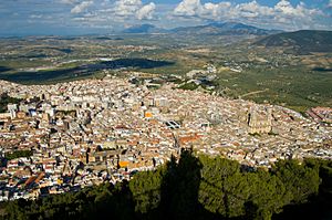 Jaen-view.jpg