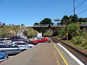 Johnsonville railway station 04