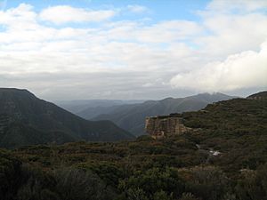 Kanangra Boyd Nat Park