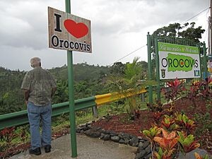 Lookout in Orocovis, Puerto Rico