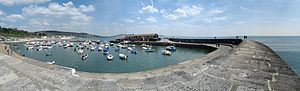 Lyme Regis Fossil Festival 44