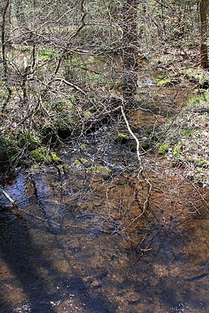 Mile Run looking downstream