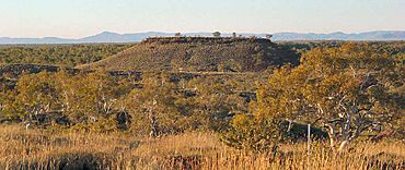 Millstream-Chichester National Park DSC04092.JPG