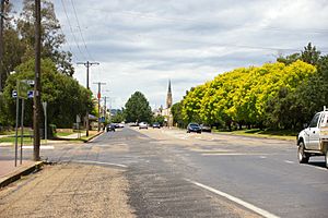 Mudgee market st