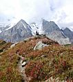 Nanga Parbat Raikhot Base Camp