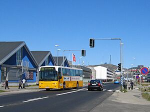 Nuuk bus