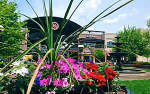 Pullman Square Flowers and Fountain