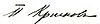 Pyotr Krasnov Signature.jpg