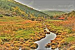 Lillas river in the Tejera Negra beech grove (Cantalojas, Guadalajara, Spain).