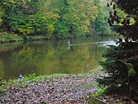 River Nith at Friars Carse