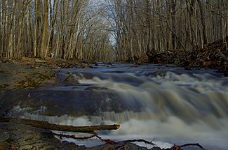 Rock brook skillman nj.jpg