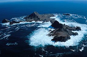 SE Farallon Island.jpg