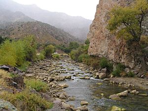 Sevier River.jpg