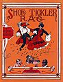 Shoe Tickler Rag