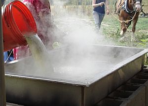 Sorghum molassses making