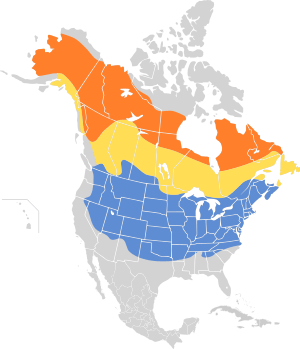 Spizelloides arborea map.svg