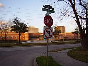 StGeorgePlaceStreetSignHouston