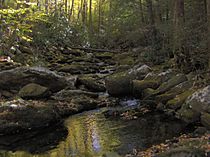 Thunderhead-prong-tennessee