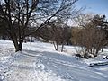 Trans Canada Trail Peterborough Ontario