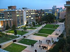 UNSW Main Walk