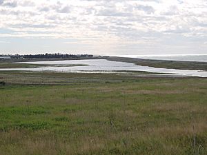 Washdyke Lagoon