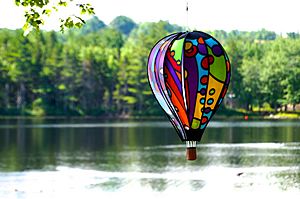 Wind-driven whirligig at the lake