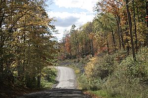 Zoar Valley Road