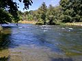 American River on William B. Pond Recreation Area 